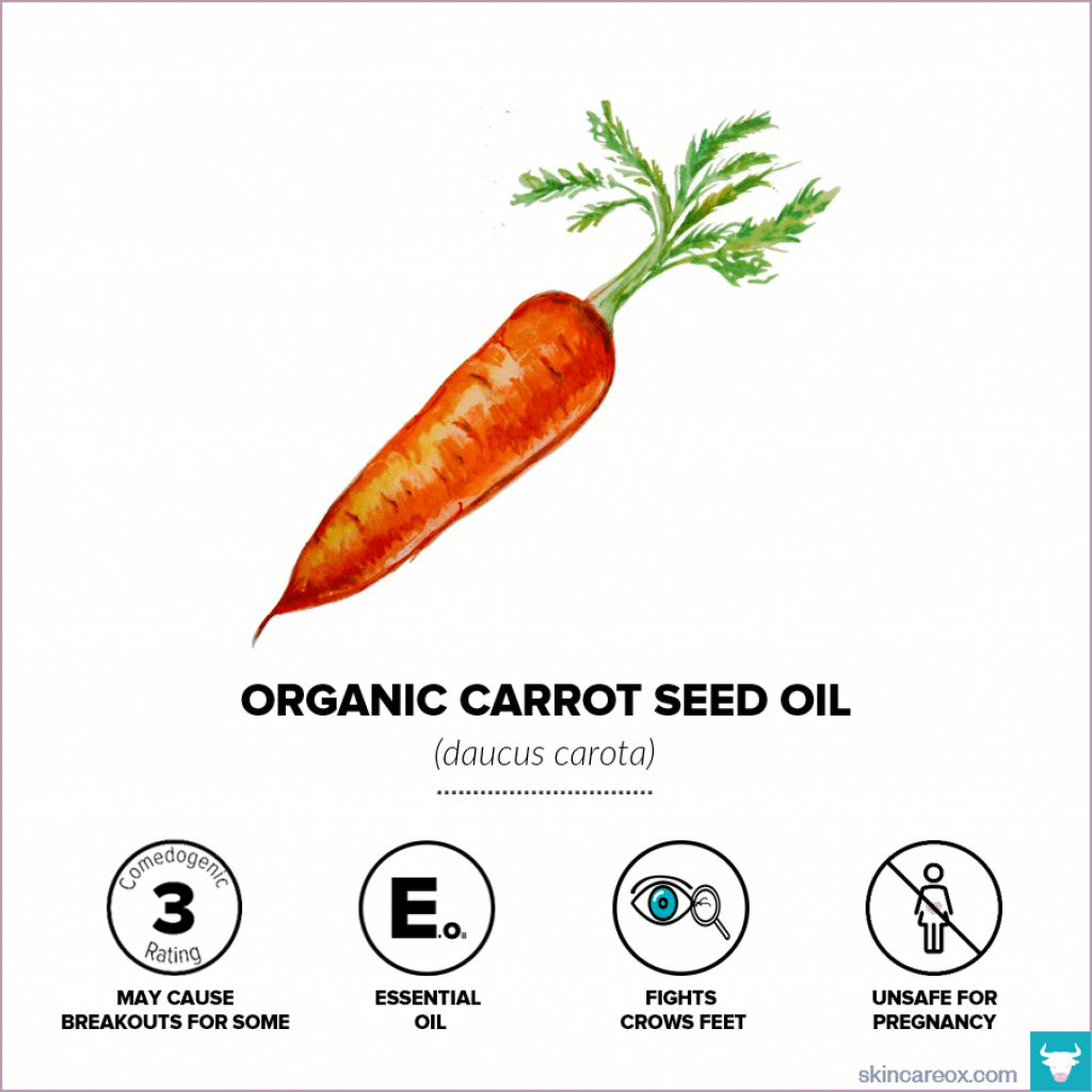 Organic Carrot Seed Oil for Skin Care – Skin Care Ox Organic skin care oils. Organic carrot seed oil infographic with comedogenic rating, safety information, and useful tips.