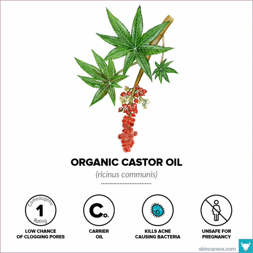 Organic Castor Oil for Skin Care – Skin Care Ox Organic skin care oils. Organic castor oil infographic with comedogenic rating, safety information, and useful tips.