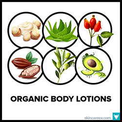 The Best Organic Body Lotions The Best Organic Body Lotions