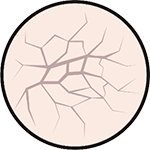 Organic cleansers for dry skin