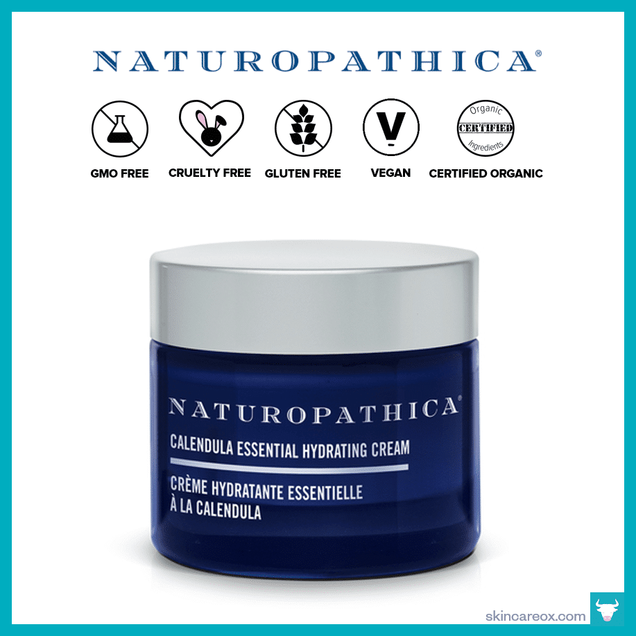 Best Natural Anti Aging Face Moisturizer Best Natural Anti Aging Face Moisturizer