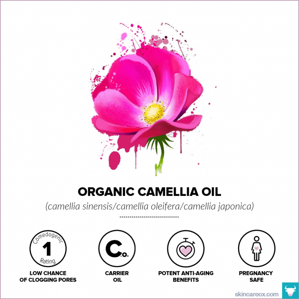 Organic Camellia Oil for Skin Care – Skin Care Ox Organic Camellia Oil for Skin Care - Skin Care Ox