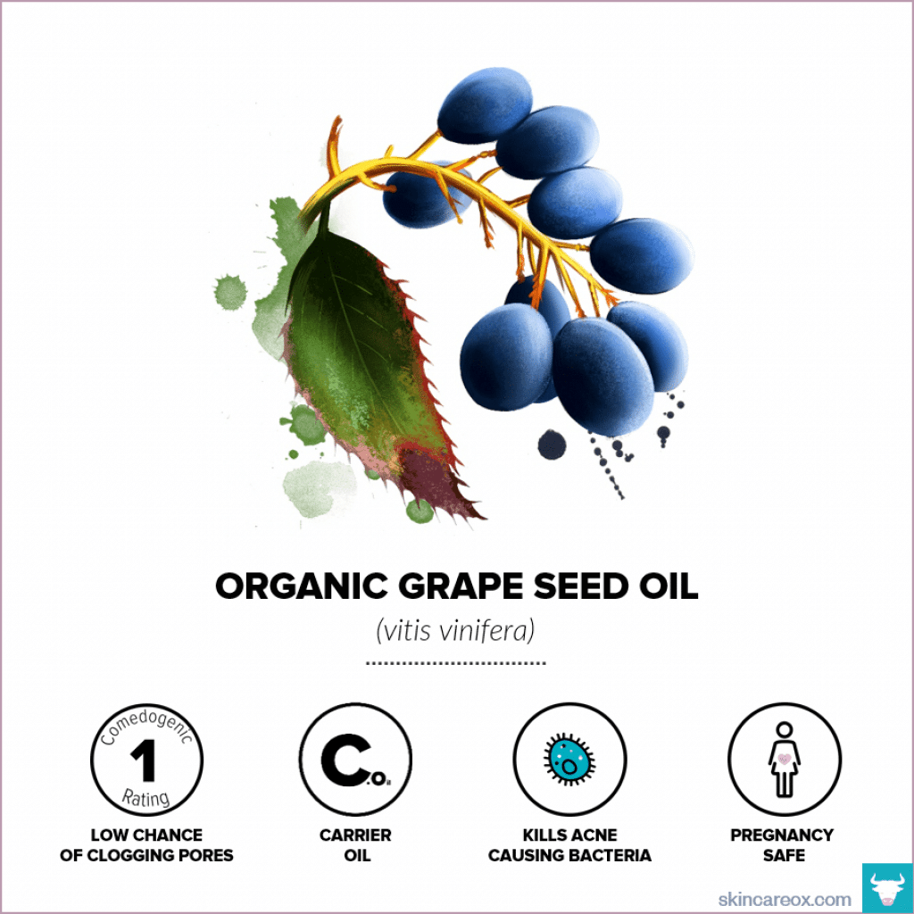 Organic Grapeseed Oil for Skin Care – Skin Care Ox Organic Grapeseed Oil for Skin Care - Skin Care Ox