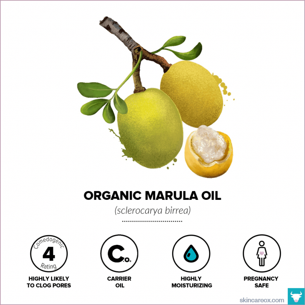 Organic Marula Oil for Skin Care – Skin Care Ox Organic Marula Oil for Skin Care - Skin Care Ox