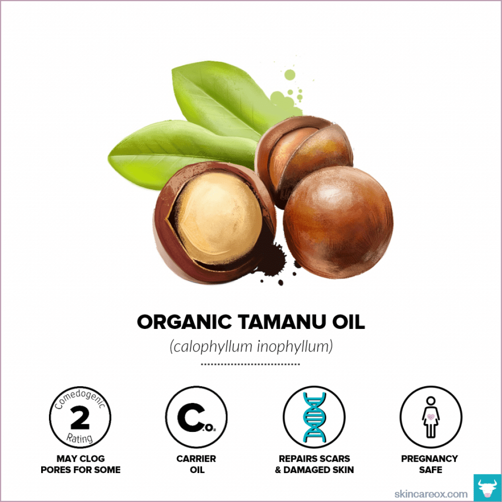 Organic Tamanu Oil for Skin Care – Skin Care Ox Organic Tamanu Oil for Skin Care - Skin Care Ox